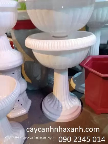 Chậu Ly Nhựa 40 x 60