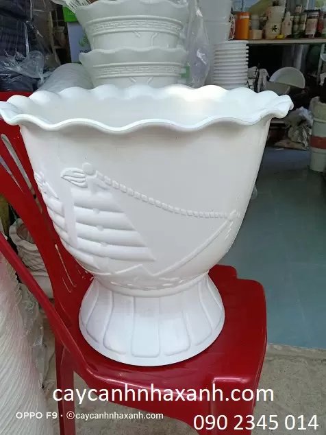 Chậu Ly Nhựa 40 x 40