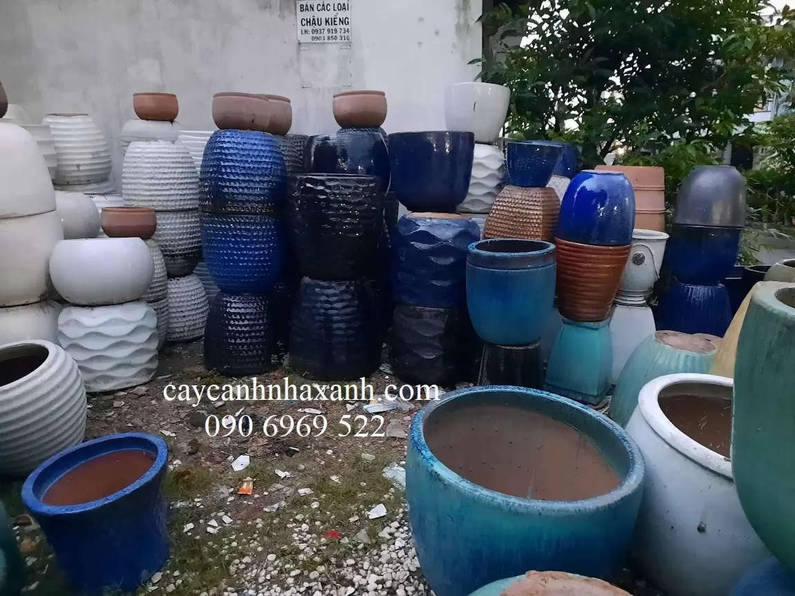 Các Loại Chậu Gồm Sành