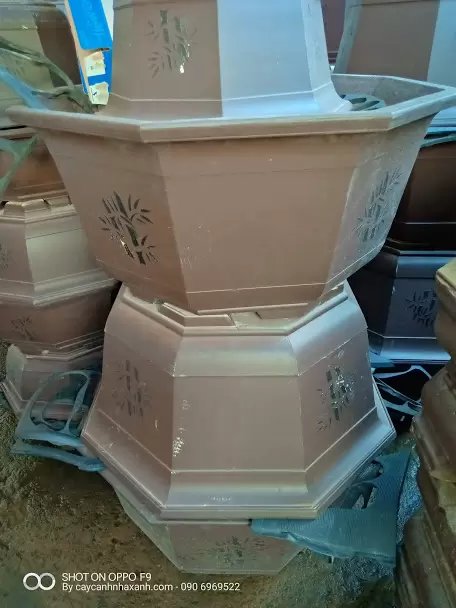 Chậu Bát giác 60 x 32