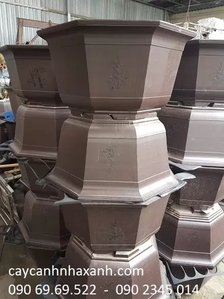 Chậu Bát giác 80 x 45