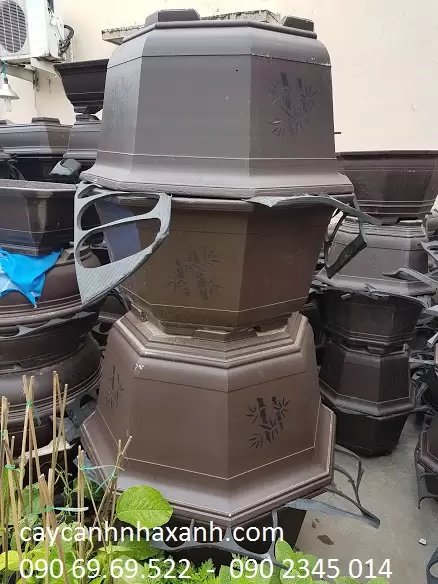 Chậu Bát Giác 90 x 50