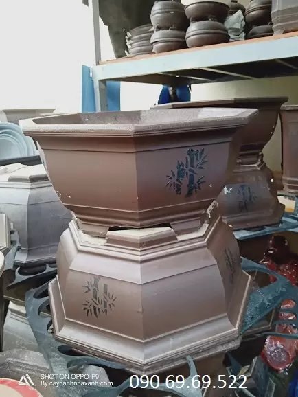 Chậu Bonsai bát giác 50 x 30