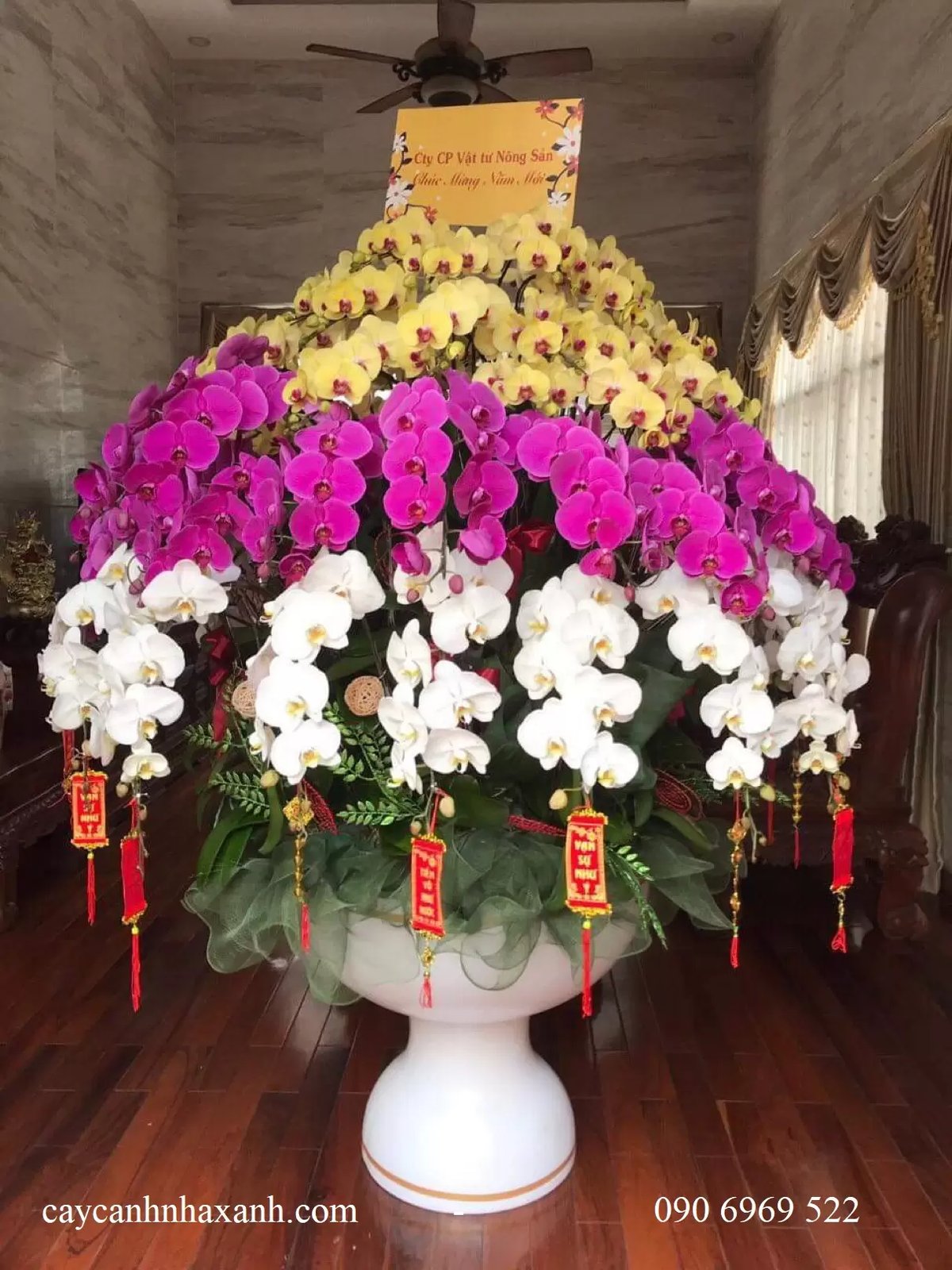 Chậu Ly composite cắm Lan
