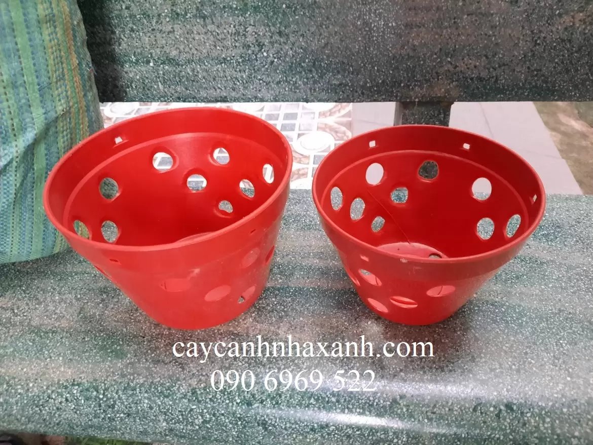 Chậu Lan Nhựa 20 x 14
