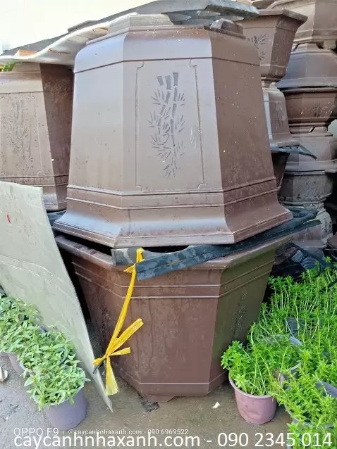 Chậu Lục giác 80 x 60