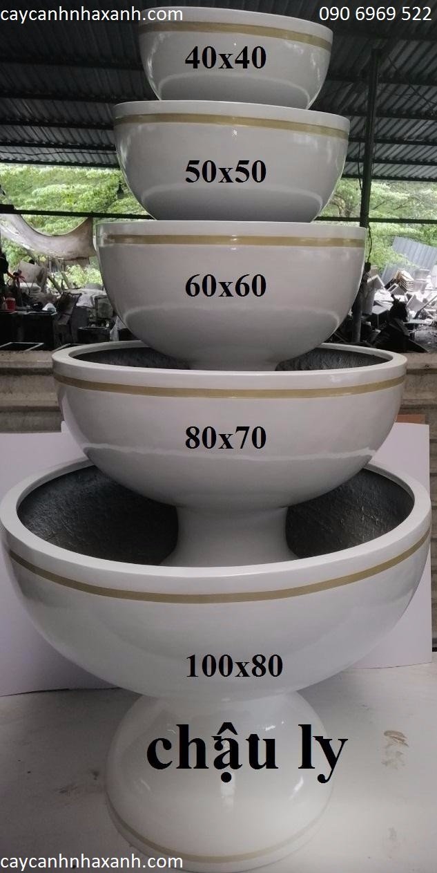 Chậu Ly Composite