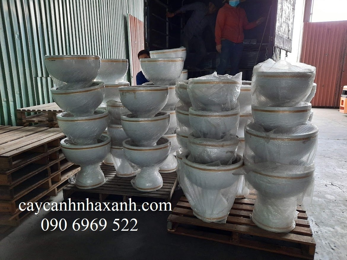 Giao hàng chậu Ly composite