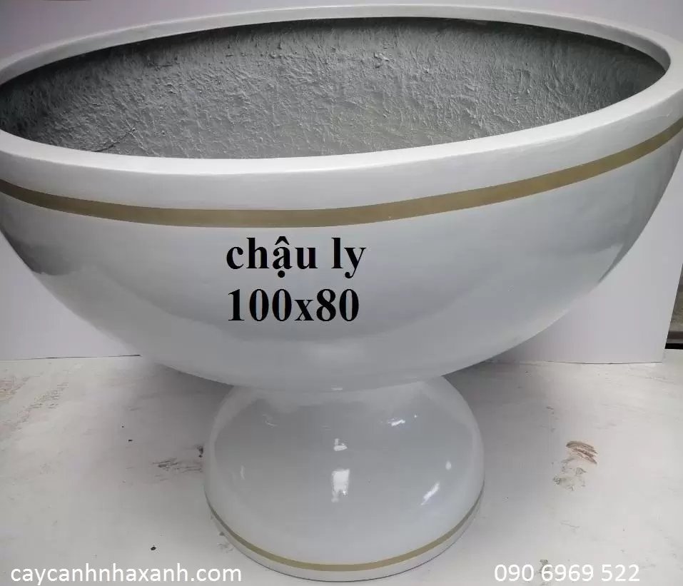 Chậu Ly Composite 100 x 80