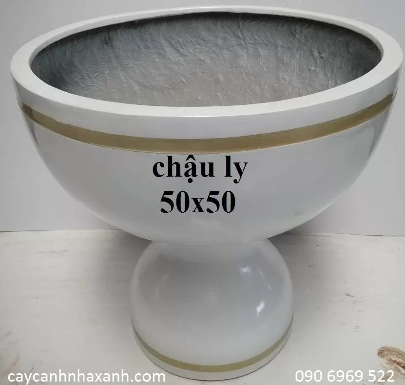 Chậu Ly Composite 50 x 50