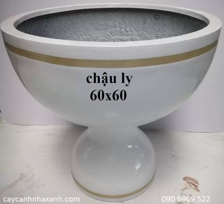 Chậu Ly Composite 60 x 60