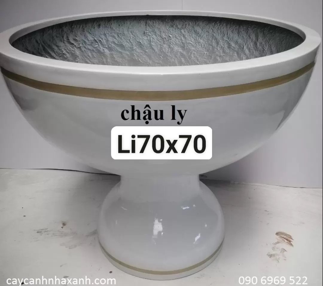 Chậu Ly Composite 70 x 70