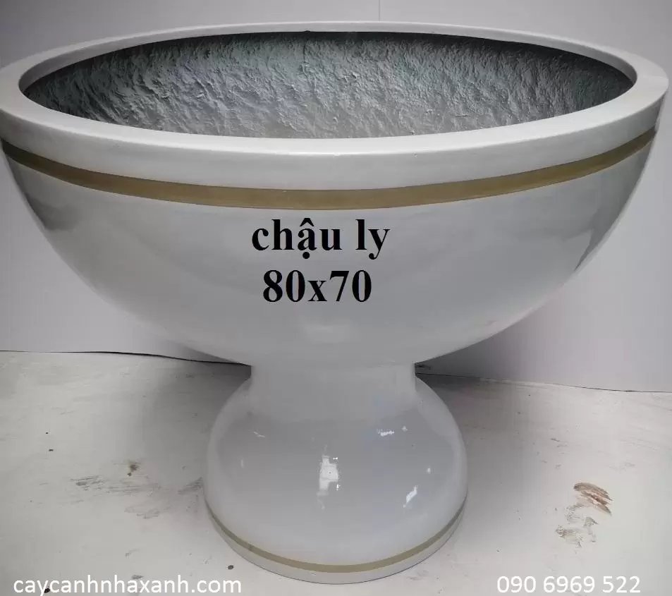 Chậu Ly Composite 80 x 70