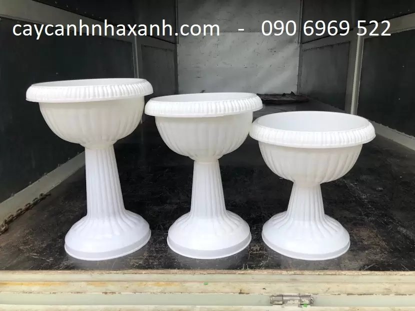 Chậu Ly Nhựa 40 x 35