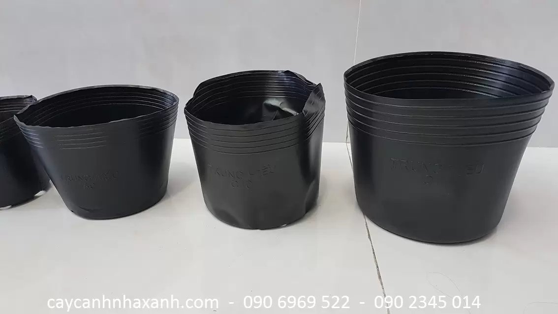 Chậu Nhựa Mềm