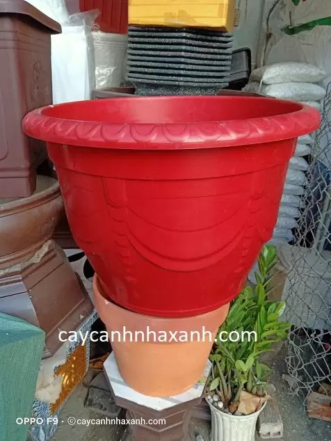 Chậu Nhựa tròn 65 x 50