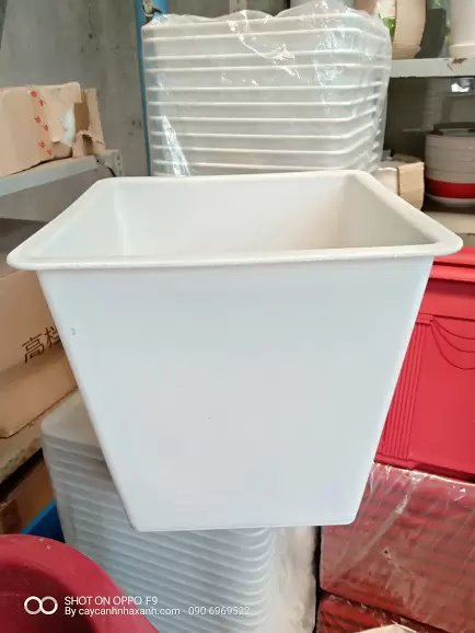 Chậu nhựa vuông 30 x 30