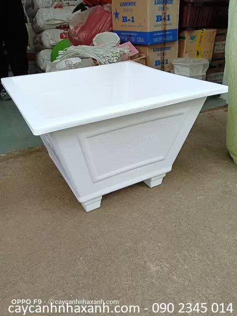 Chậu Nhựa Vuông 60 x 40