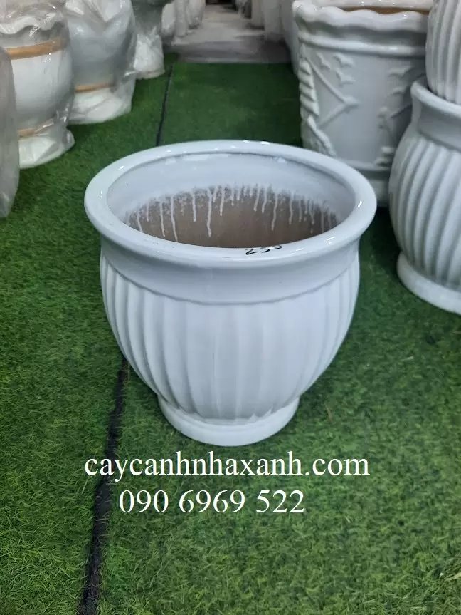 Chậu Sứ Bí 30 x 28