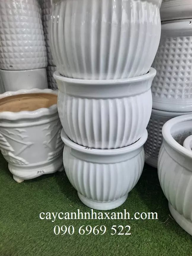 Chậu sứ Bí 35 x 30