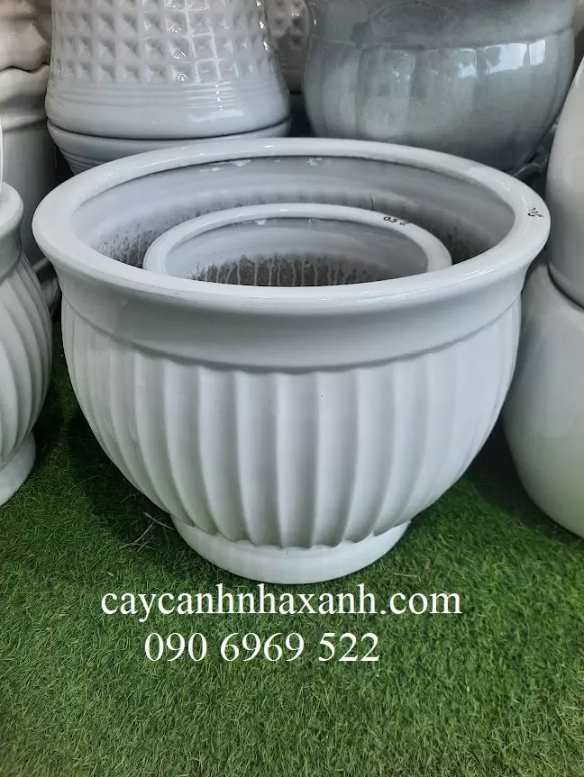 Chậu sứ Bí 48 x 35
