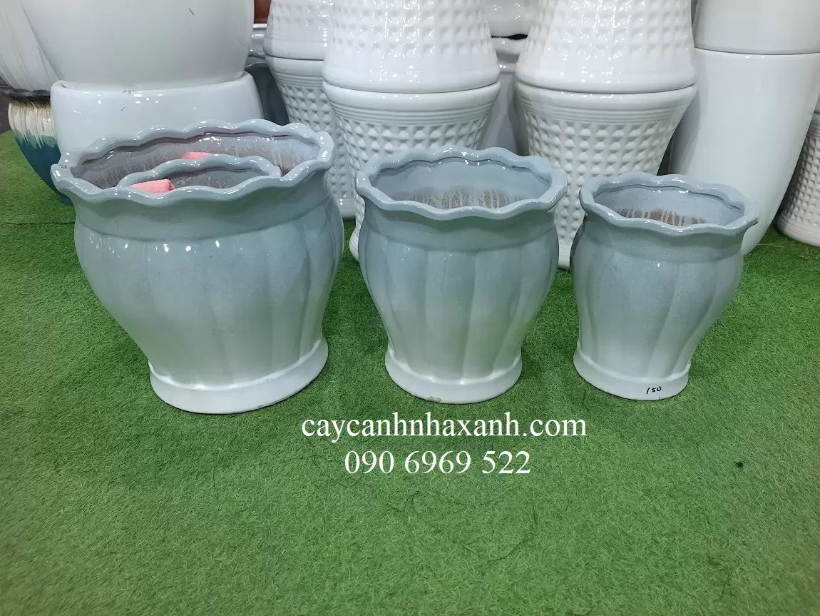 Chậu Sứ Bí bèo 37 x 36