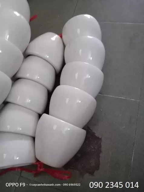 Chậu sứ để bàn 12 x 10