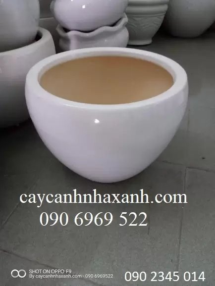 Chậu Sứ Để bàn 24 x 19