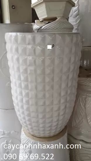 Chậu Sứ kim cương 40 x 60