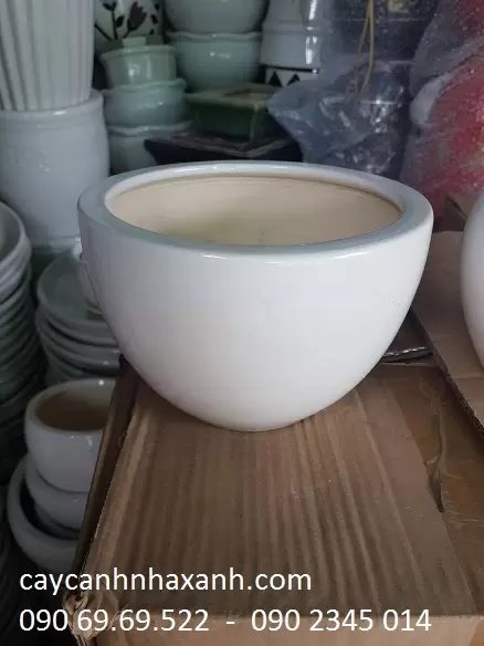 Chậu sứ trứng 19 x 14