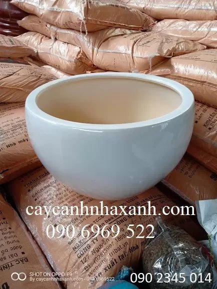 Chậu Sứ Trứng 30 x 25