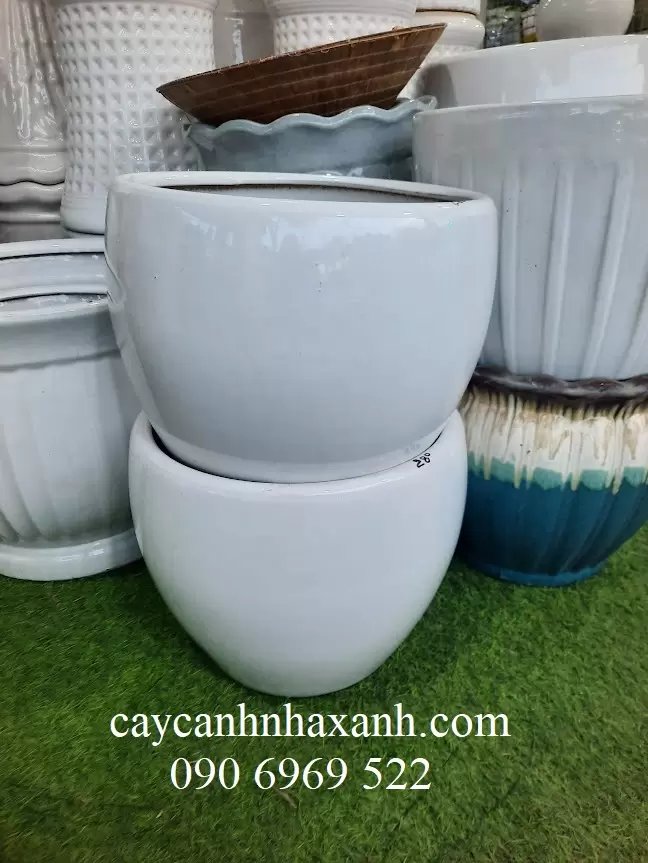 Chậu sứ trứng 35 x 30