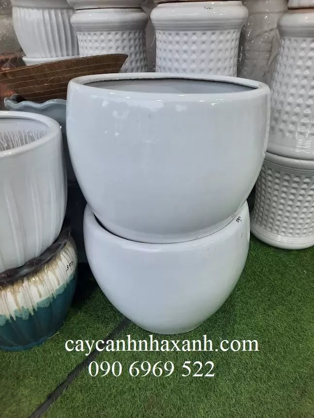 Chậu sứ trứng 45 x 40