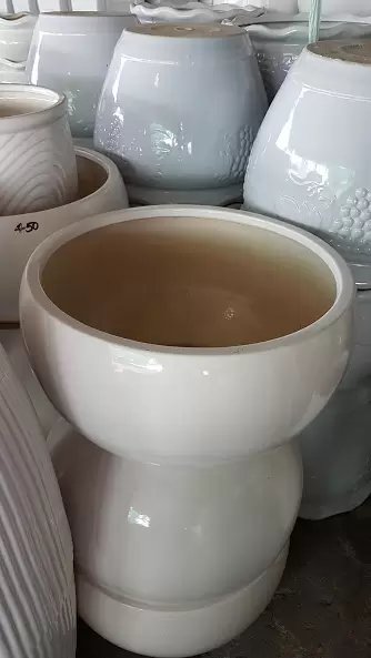 Chậu Sứ Trứng 50 x 33