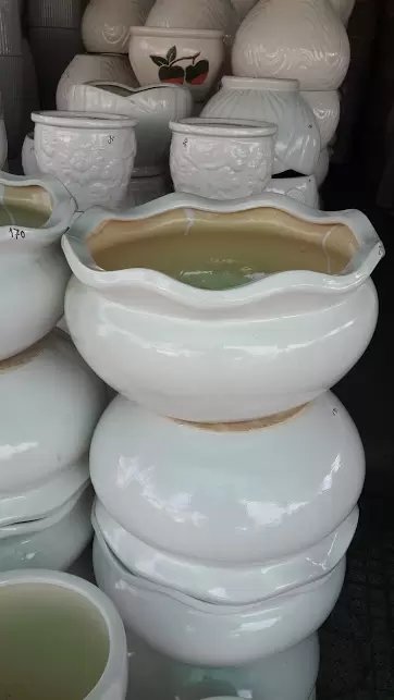 Chậu sứ Trứng miệng bèo 40 x 25