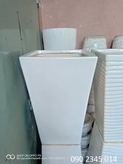 Chậu Sứ Vuông 35 x 55