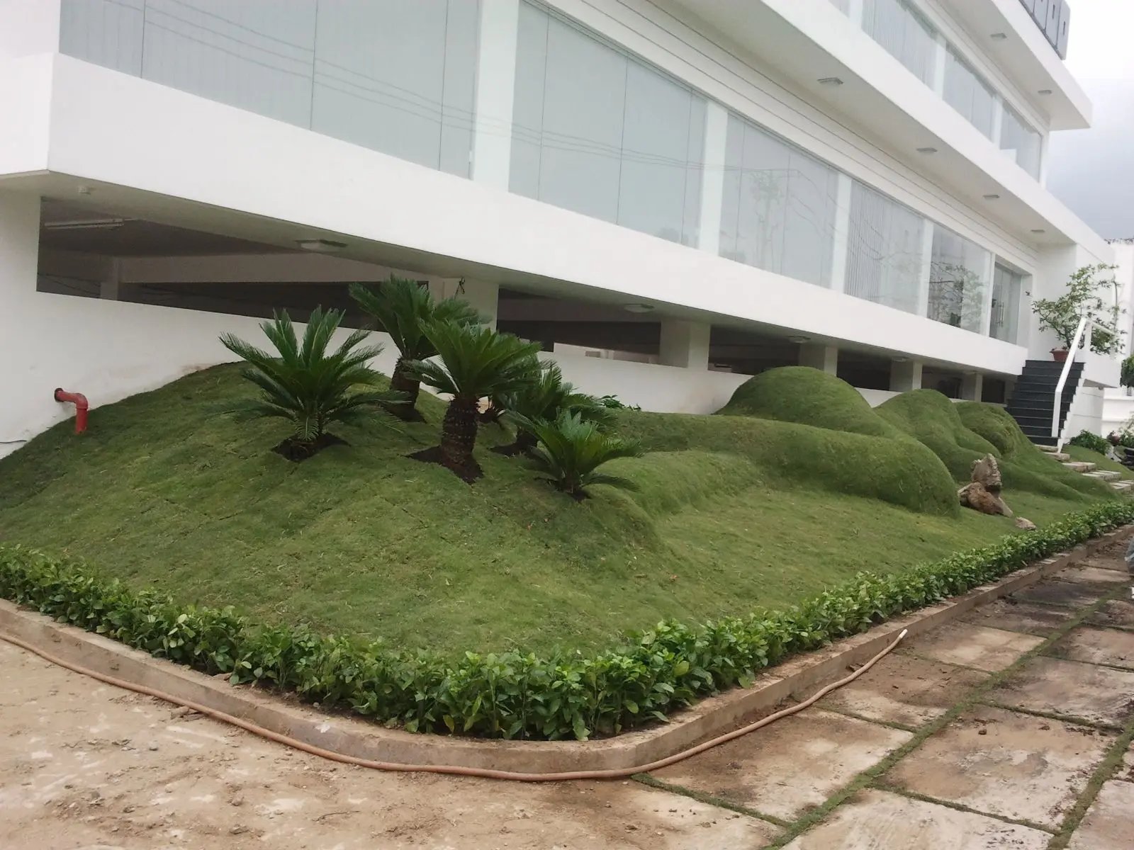 CT Đồi Thiên Tuế