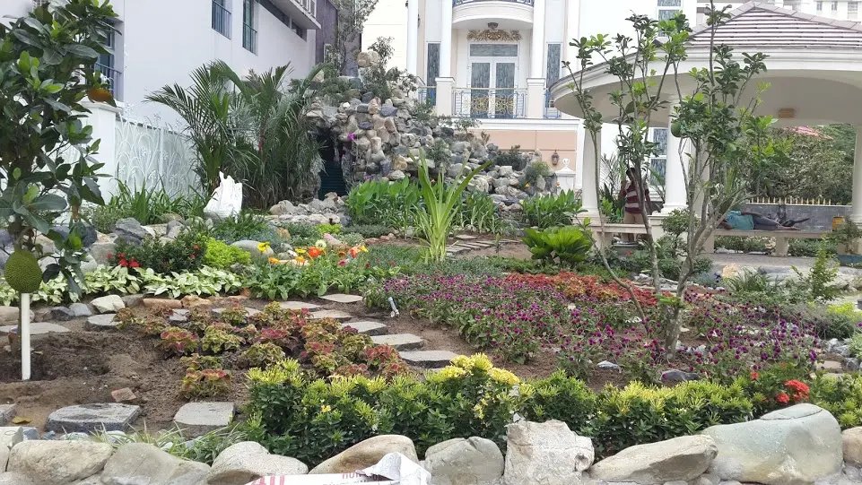 CT Vườn hoa Biệt Thự PMH