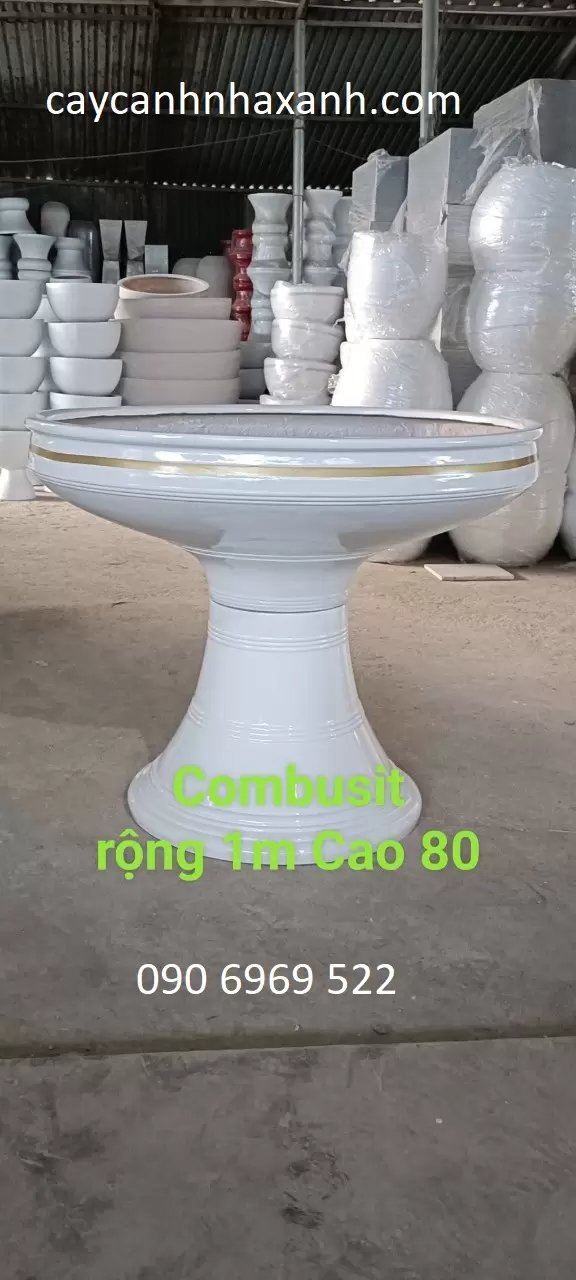 Đài Ly 100 x 80
