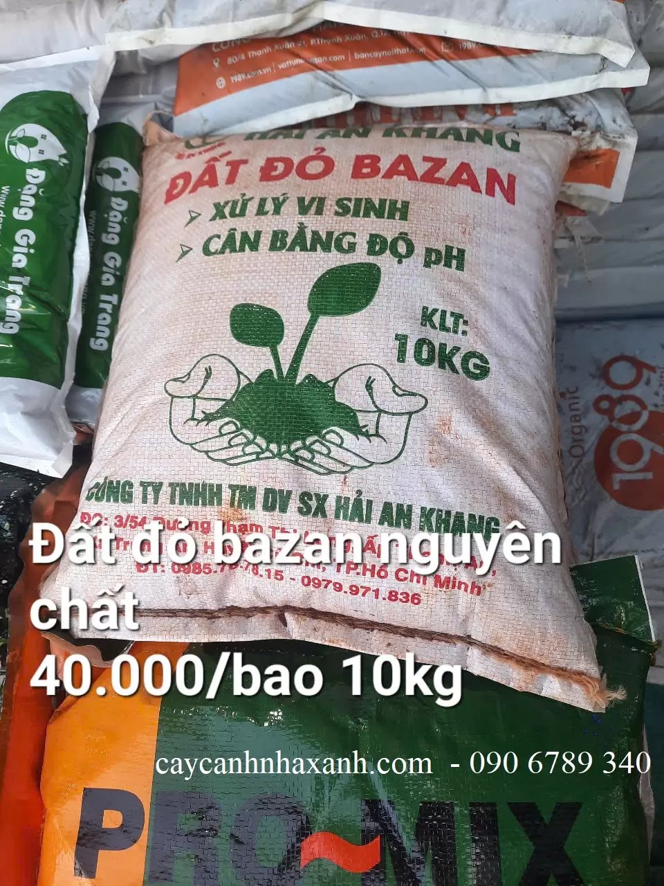 Đất Đỏ Bazan