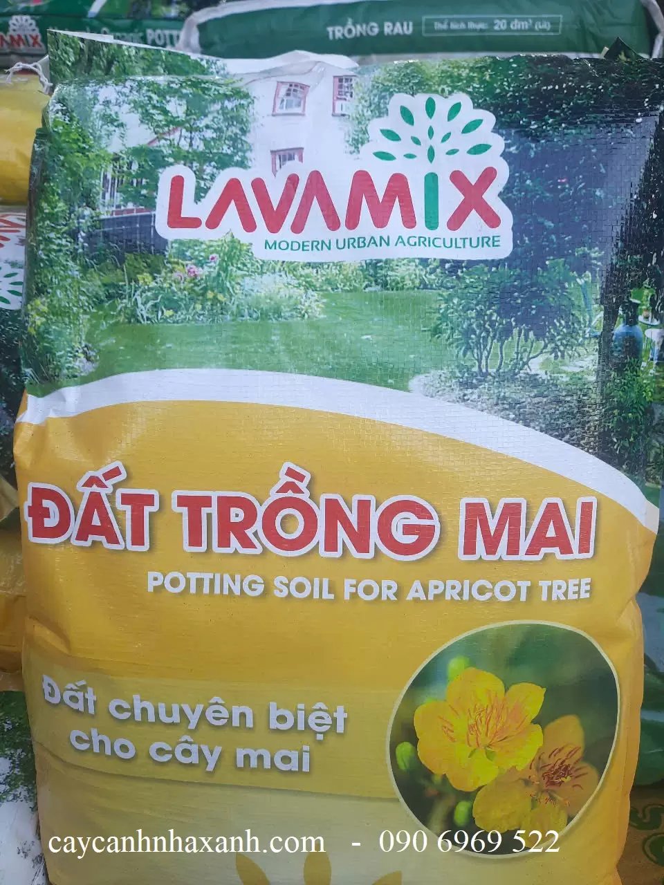 Đất Trồng Mai