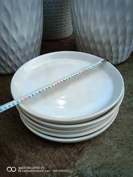Đĩa sứ 32cm