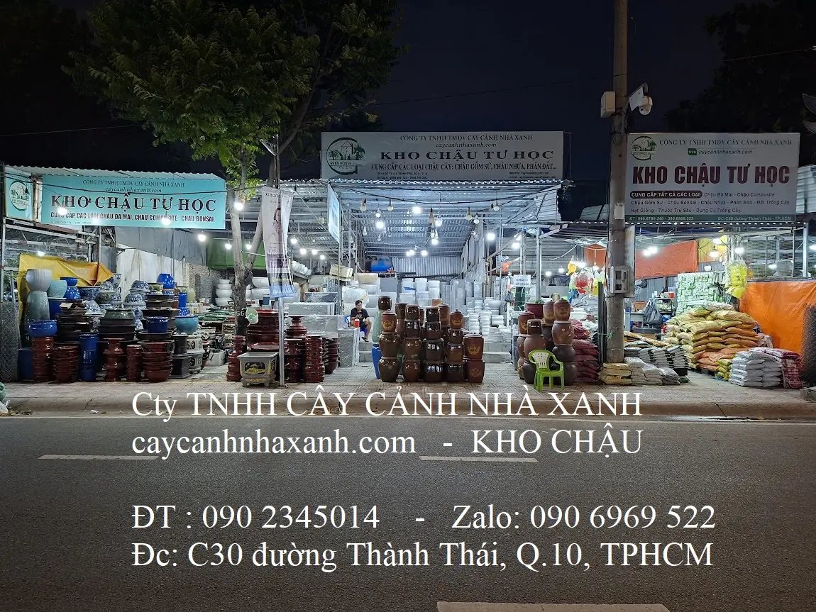 CÔNG TY TNHH TMDV CÂY CẢNH NHÀ XANH 2