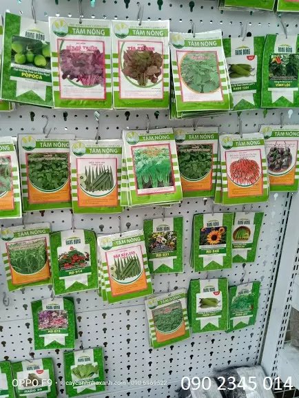 Hạt giống các loại