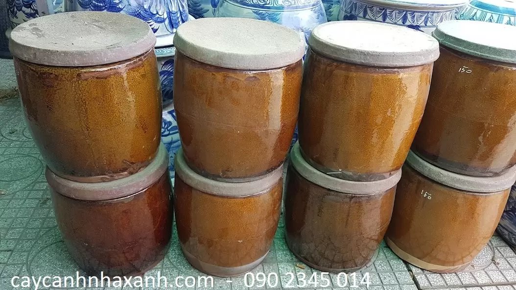 Khạp vại 30 x 30