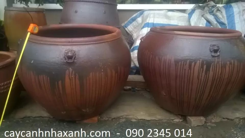 Lu Sành Đại 70 x 100 x 70