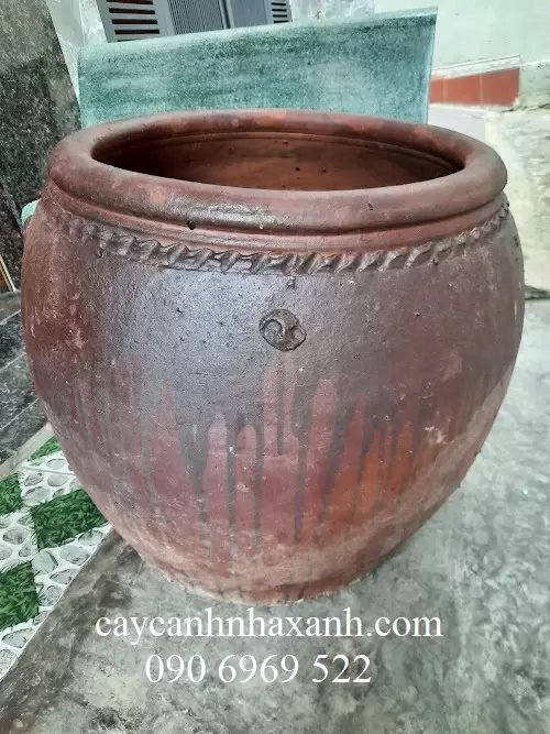 Lu sành Nhì 60 x 70 x 65