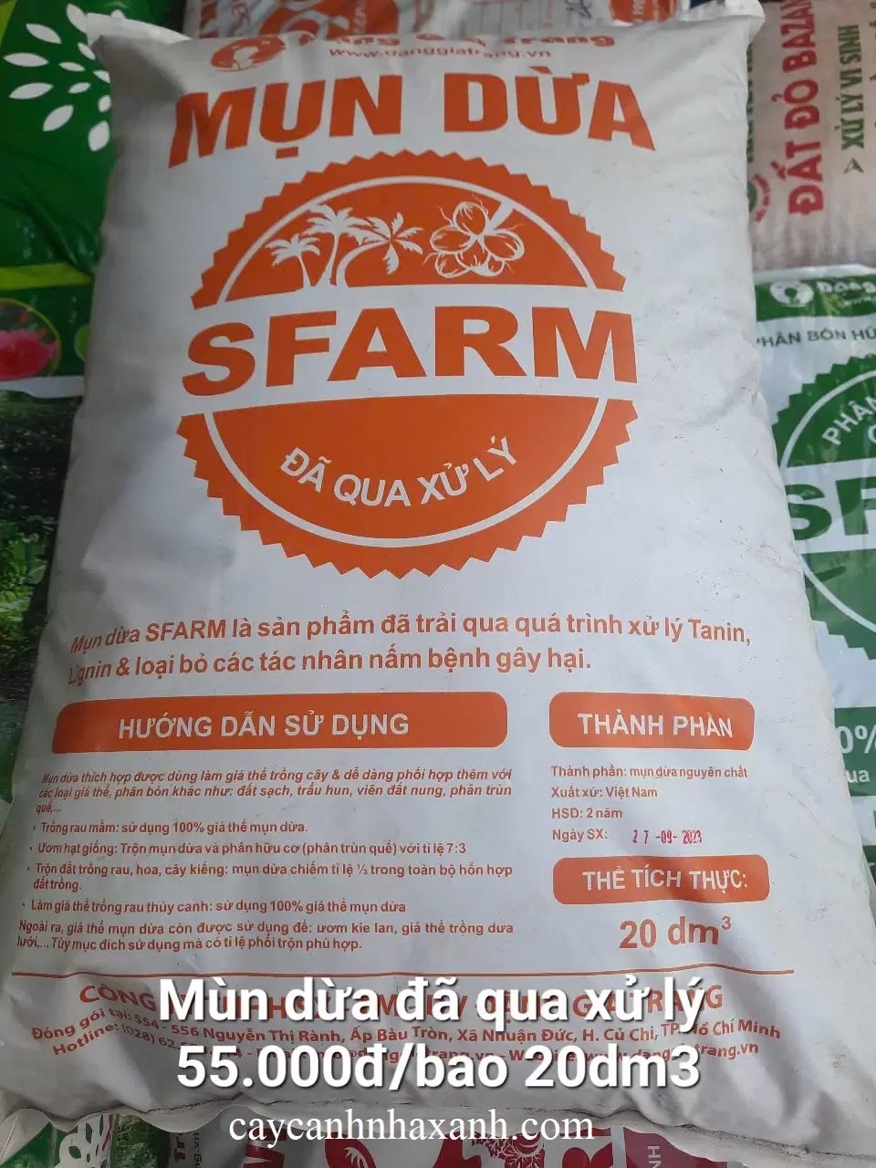 Mụn Dừa