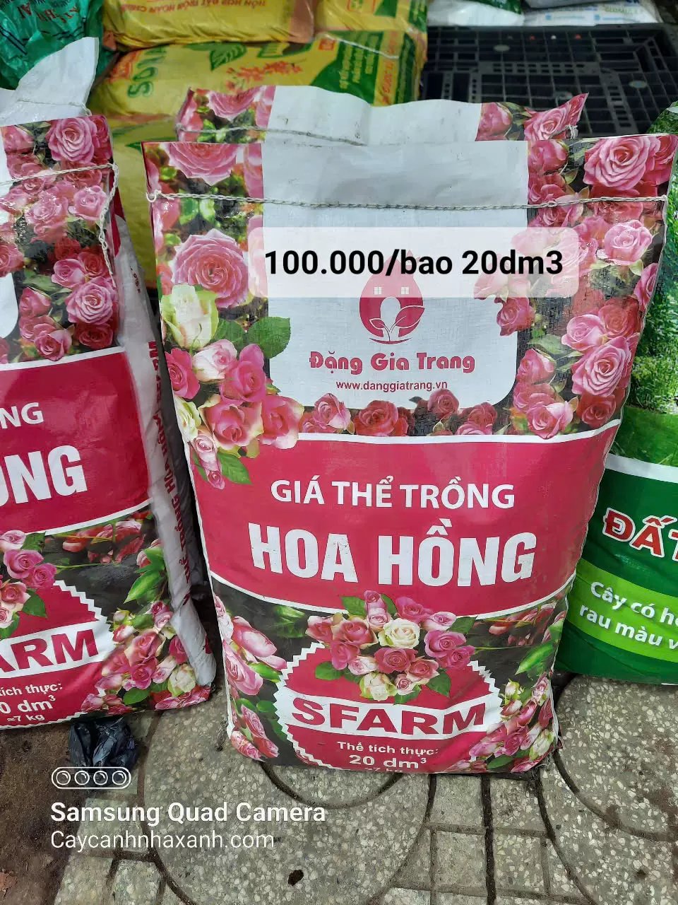 Phân Đất trồng hoa hồng