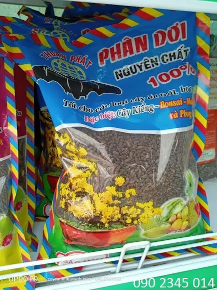Phân Dơi